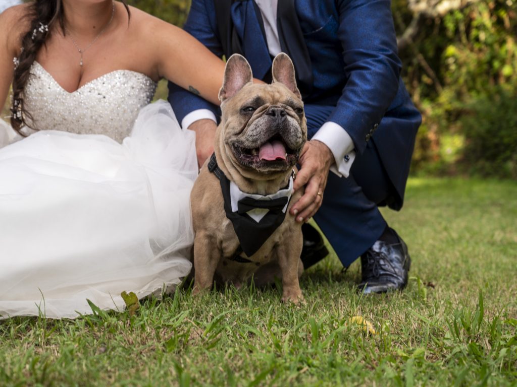 Alberto Sarah_1864__CUM9035